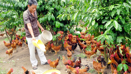 Modelo de reducción de la pobreza en provincia Dong Nai